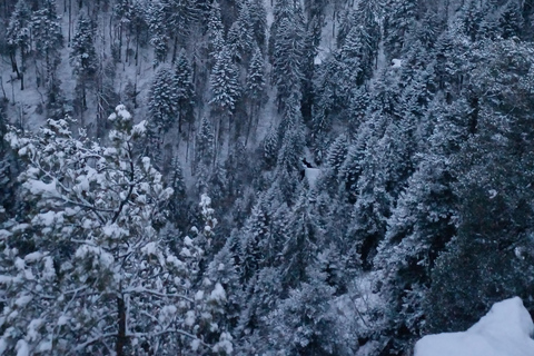 博罗韦茨徒步和雪橇之旅，参观比斯特里察皇家宫殿博罗维茨徒步和雪橇之旅，参观比斯特里察皇家宫殿