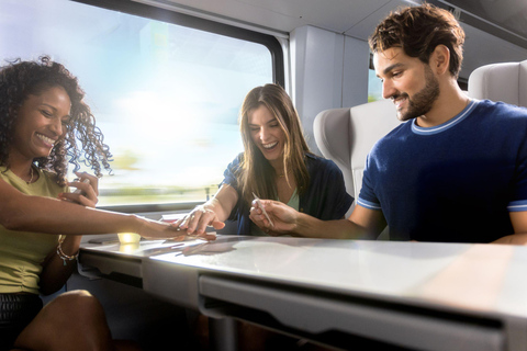 Orlando: treintransfer naar MiamiOrlando naar Aventura - Premium ticket