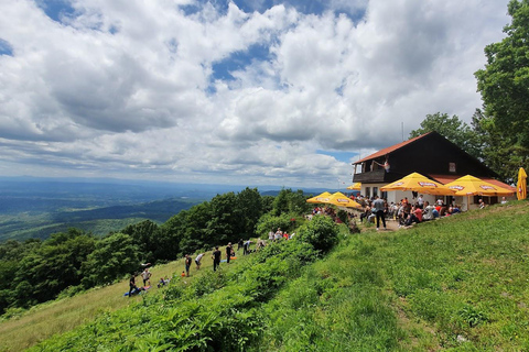 Zagreb: Japetić Viewpoint Hike & Plešivica Wine Tasting