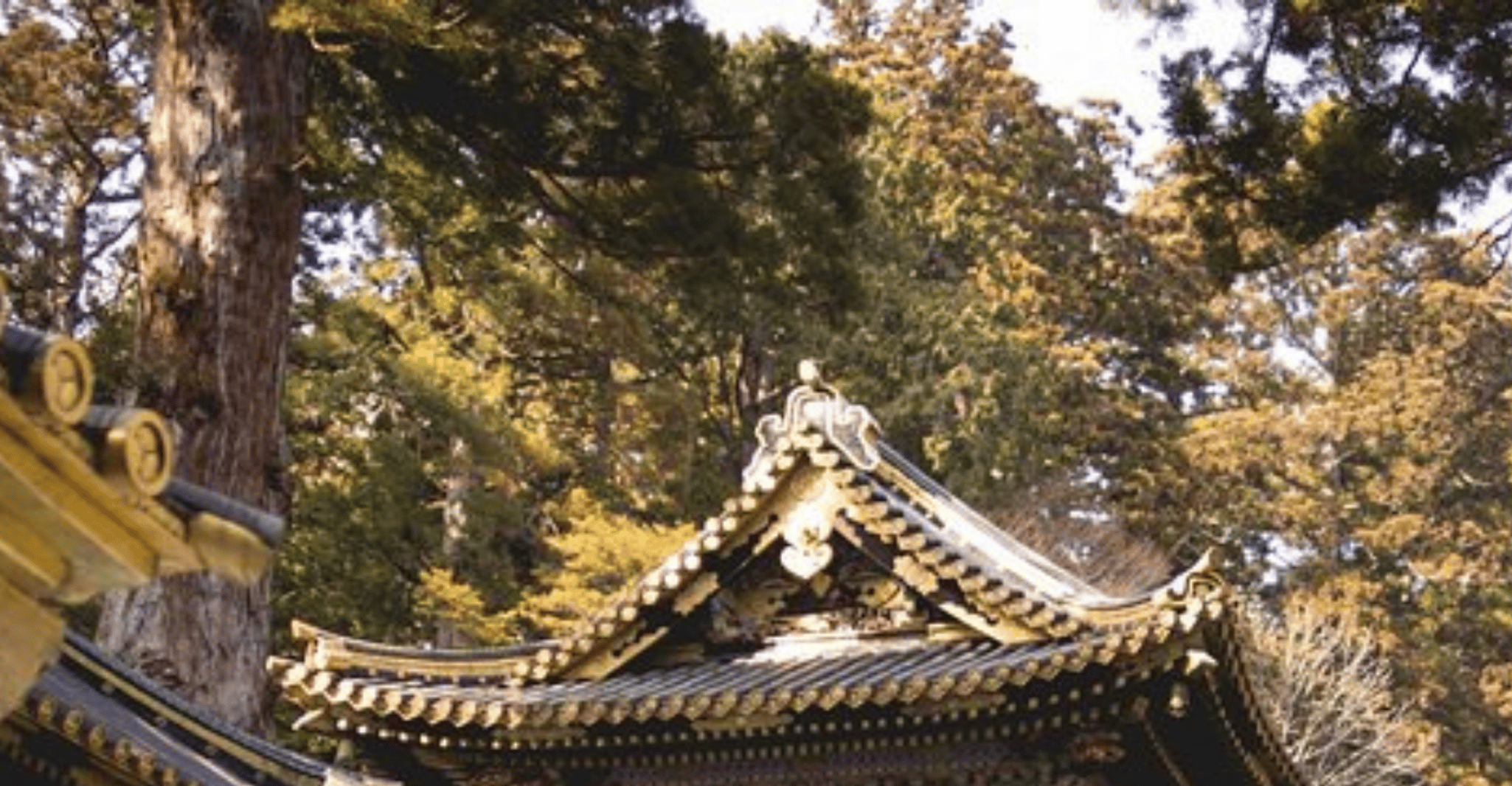 From Tokyo, Private Nikko World Heritage Sights Day Trip - Housity