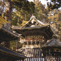 Desde Tokio, viaje privado de Nikko World Heritage Views Day Trip - Housity
