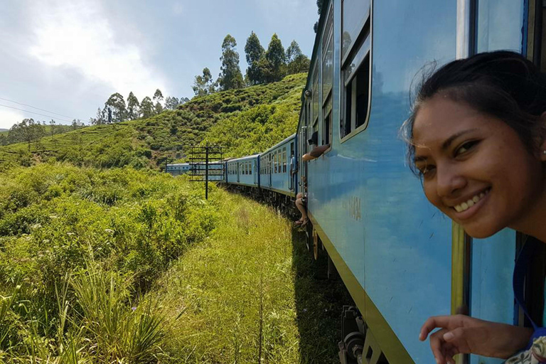 Kandy To Nanuoya Drop Tour & Morning Ella Train Journey Kandy To Nanuoya Drop Tour & Morning Ella Train Journey Car*