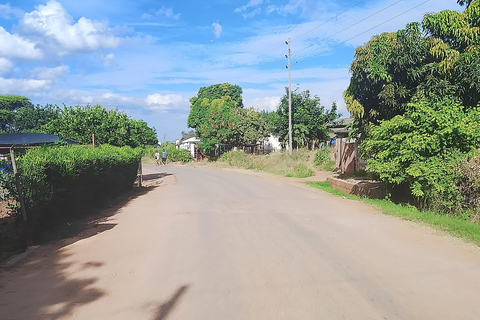 Victoria Falls: Walking Tour with Curio Market Visit