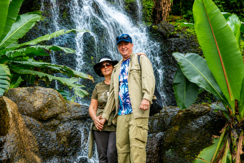 From Arusha: Materuni Village, Waterfalls & Coffee Day Tour