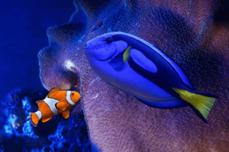 Mexico City: Fast Pass Ticket to Acuarium Inbursa