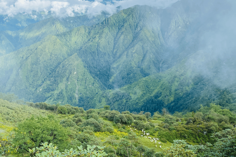 Panch Pokhari Trek in Nepal Panch Pokhari: 7-Day Trek with Guide and Meals