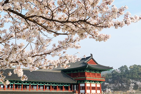 Busan: Gyeongju UNESCO Highlights 6 Hours Express Tour Shared Tour, Meet at Haeundae Station