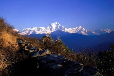 Pokhara : Trek de 3 jours à Astam, Dhampus et Australian CampPokhara : 3 jours de service