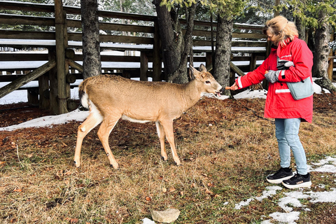 Montreal: Omega Park Private Tour with Pickup & Guide