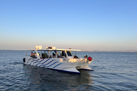 Lisbon: Catamaran Sunset Chillout with Open Bar and MusicCatamaran Sunset Chillout Lisbon Tour and Open Bar