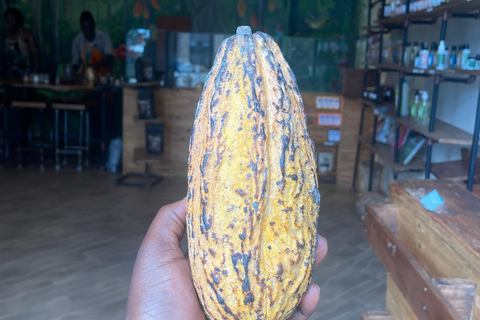 Kampala; Hands-On Female Led Chocolate Making Experience