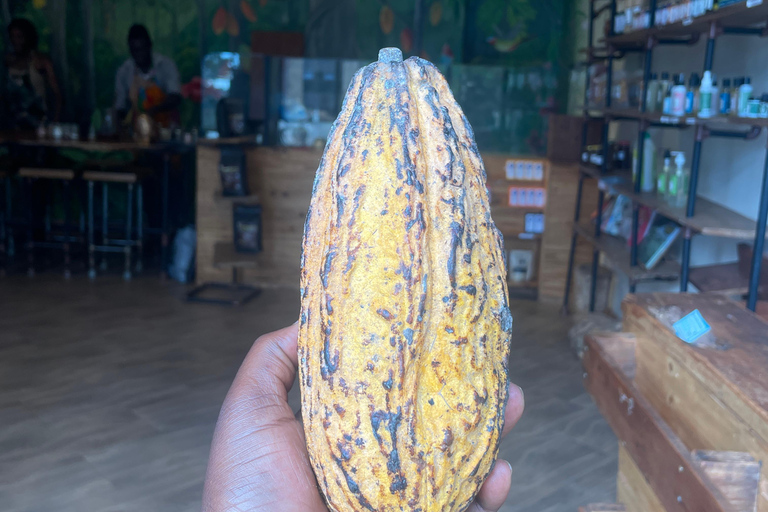 Kampala; Hands-On Female Led Chocolate Making Experience