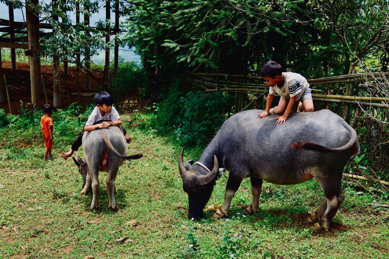 SA PA TREKKING 2D/1N THROUGH NATURE AND CULTURE WITH LALA