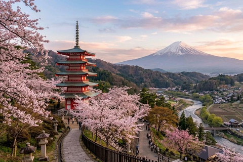 Tokyo:Mount Fuji Explorer Private Tour(Customised)With Guide