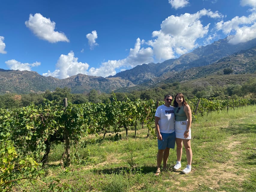 Private wine tasting with transportation GetYourGuide