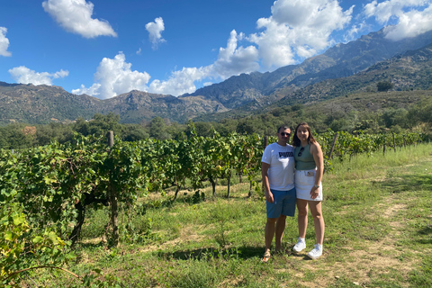 Tour particular de vinhos em Ile rousse e Calvi com transporte