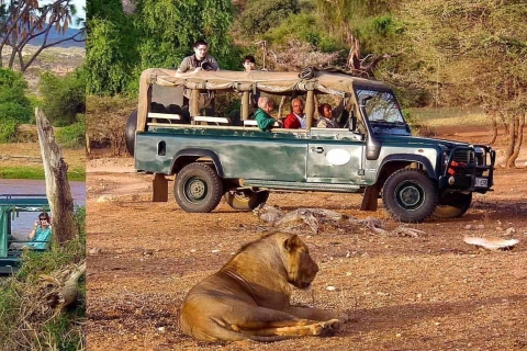 3 Tage, 2 Nächte Samburu Safari Paket