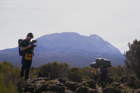 Moshi: Kilimanjaro Day Trip – Londorossi Gate hike to Shira