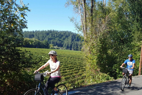 San Francisco: Tour de 5 días por la región vinícola y la costa solo para mujeresOcupación individual