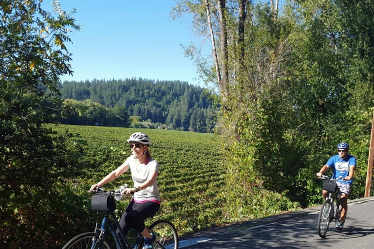 San Francisco: Tour de 5 días por la región vinícola y la costa solo para mujeresOcupación individual