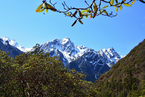 21 days Kanchenjunga Circuit Trek