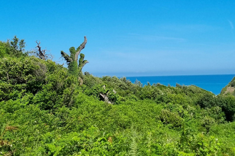 Capo di Rodon, castello, tour di un giorno di snorkeling/spiaggia!