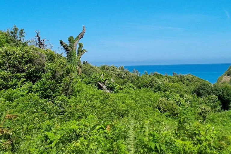 Capo di Rodon, castello, tour di un giorno di snorkeling/spiaggia!