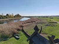 Zasavica Safari Tour - Housity