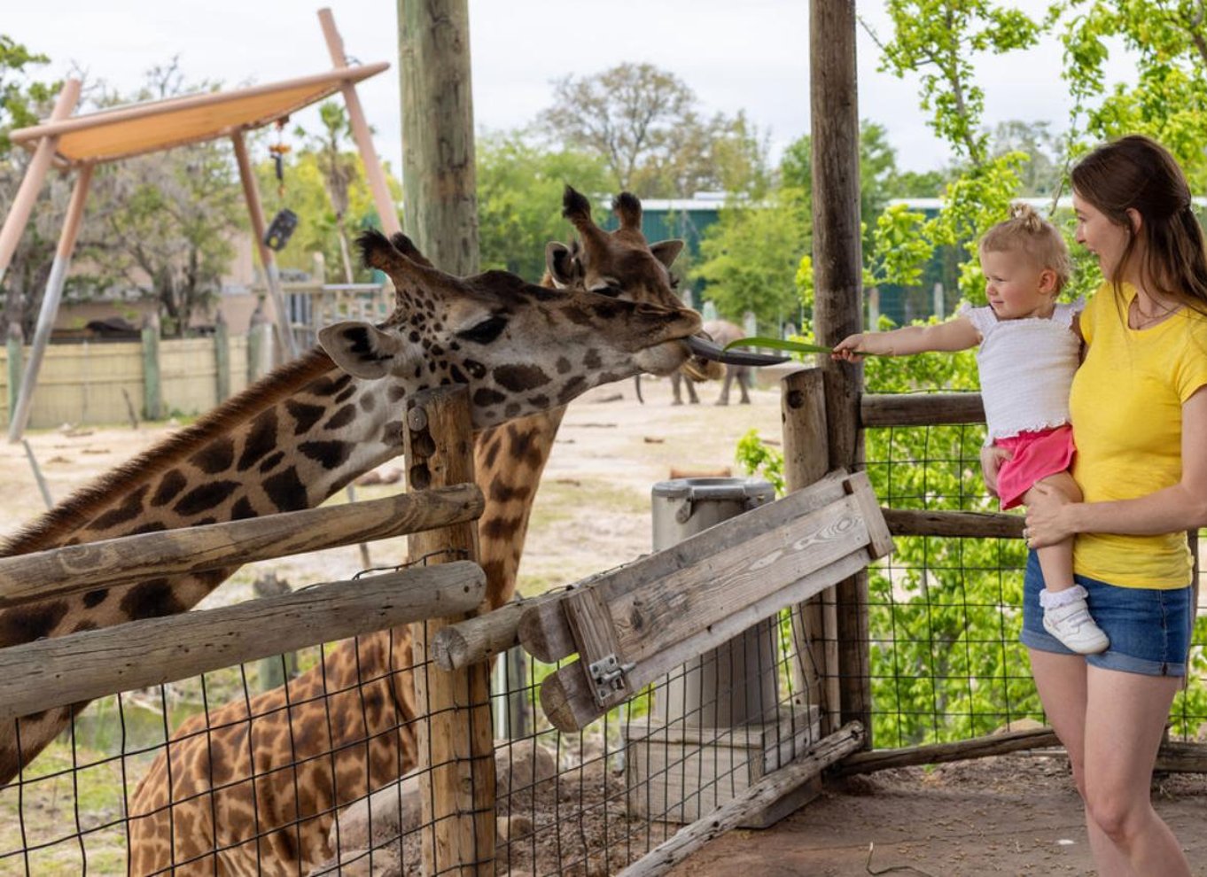 Tampa: Adgangsbillet til ZooTampa i Lowry Park