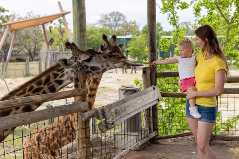 Tampa: ZooTampa at Lowry Park Ticket