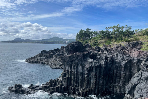 Excursión de un día por las Rutas Oeste y Sur de JejuPunto de encuentro: Shilla Duty Free