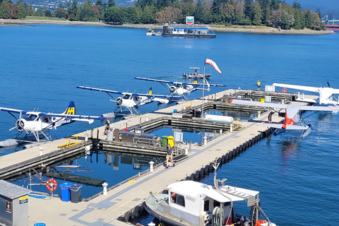 Stanley Park Car Tour: Private&Cheaper Than Bike Rental/Tour