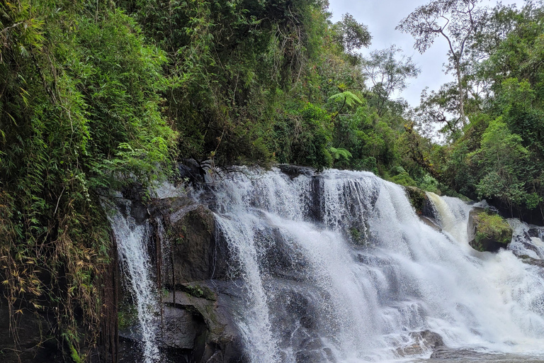 CAMINHO DO OURO - Geführte Tour durch den Atlantischen Wald, Wasserfälle und Geschichten.