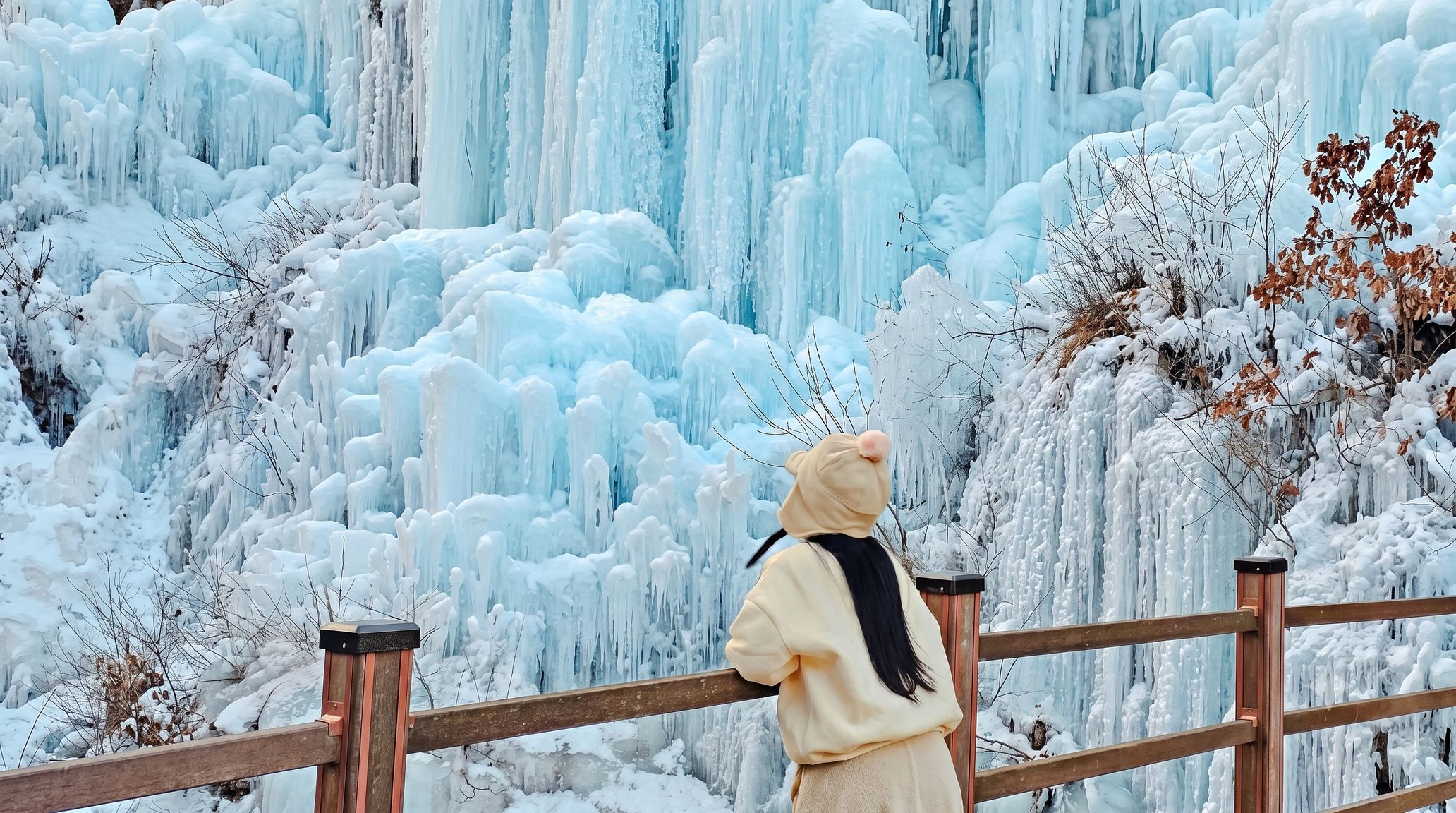 Ab Seoul: Tour zum Eobi-Eistal und Schneerodeln