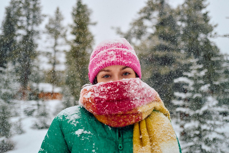 Banff : Randonnée hivernale en pleine nature avec suivi de la faune - 2 heures