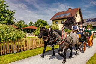 Spielberg: idyllic horse-drawn carriage ride in the picturesque countryside