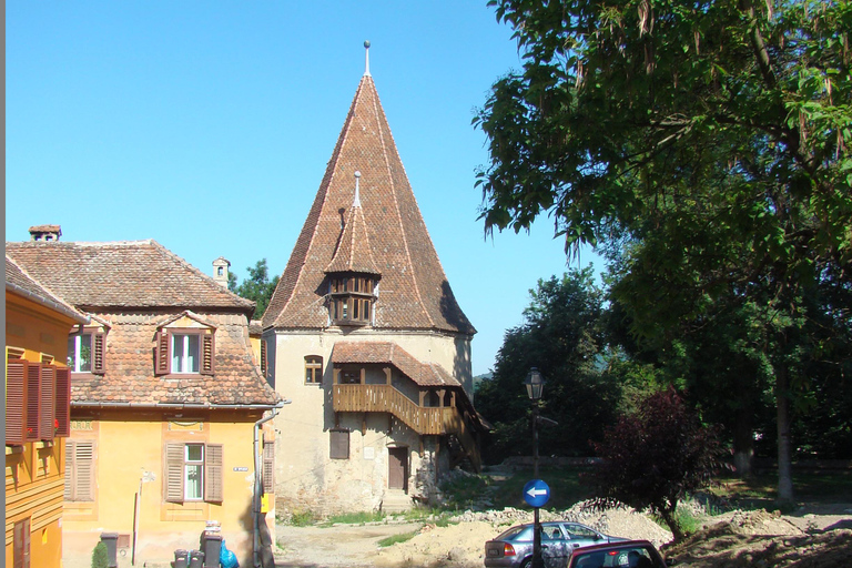 Brasov: Sighisoara Day Trip with Walking Tour