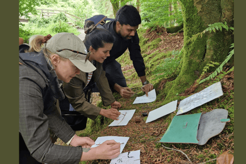 Wexford: Explore an Ancient Woodland with an Irish Witch