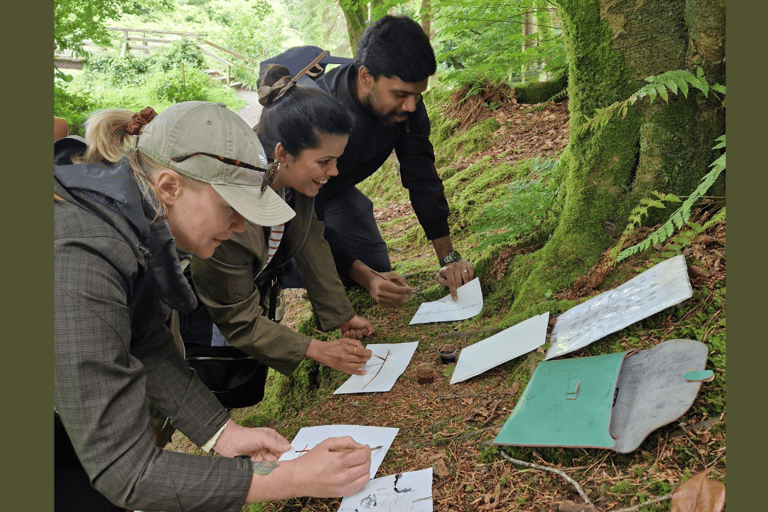 Wexford: Explore an Ancient Woodland with an Irish Witch