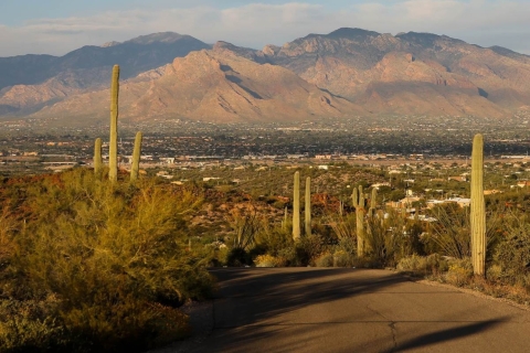 Tucson: Mt Lemmon & Saguaro NP Self-Guided Bundle Tour