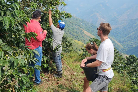 Minca Coffee Farm Tour with Coffee Tasting & Lunch La Candelaria Coffee Farm Tour with Coffee Tasting & Lunch