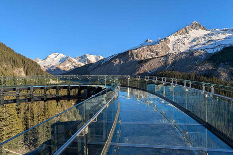 Icefield Glacier & Skywalk Full-Day Tour