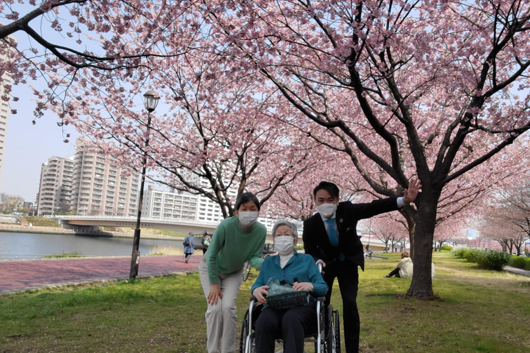 Full Day Private Tokyo Tour for Wheelchair Users