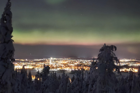 Rovaniemi: Northern Lights Hunt with Local Guides