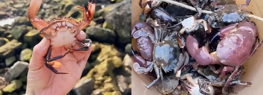 Xiamen : Voile et expérience de la mer.