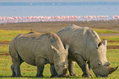 Safari por el Parque Nacional de Tarangire