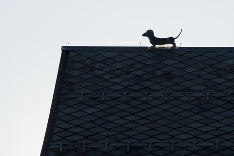 Tromsø : visite en anglais de la vieille ville et du musée polaire