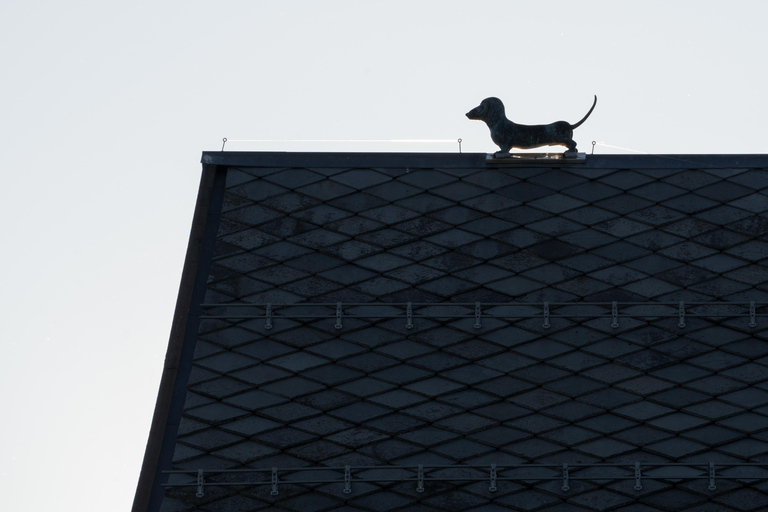Tromsø : visite en anglais de la vieille ville et du musée polaire