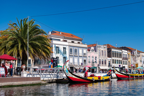 Aveiro, Costa Nova, Válega & Senhor da Pedra - Small Group