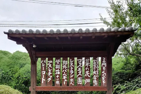 Fukuoka:Nokonoshima Island Day Trip with Tour Guide& Driver